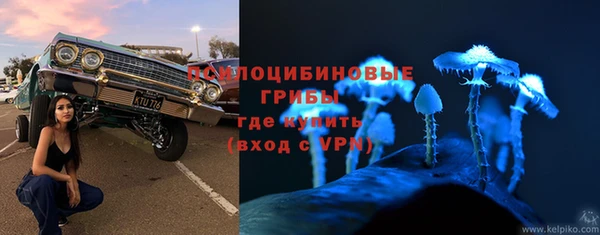 МДПВ Абаза