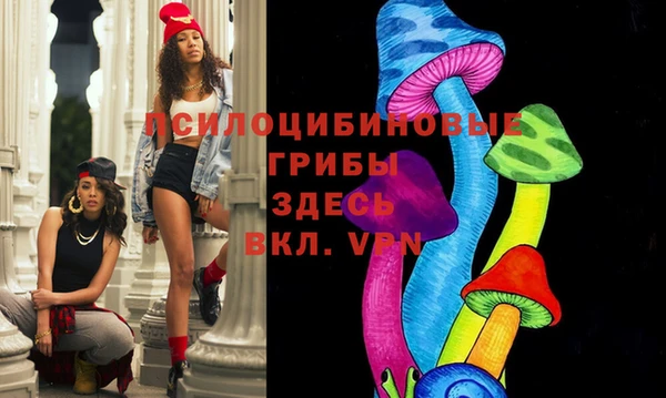 МДПВ Абаза