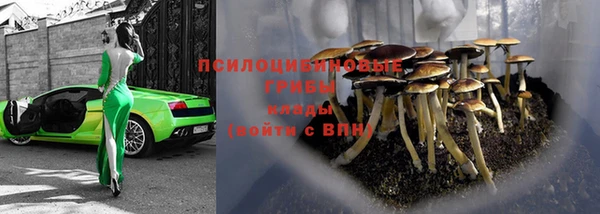МДПВ Абаза