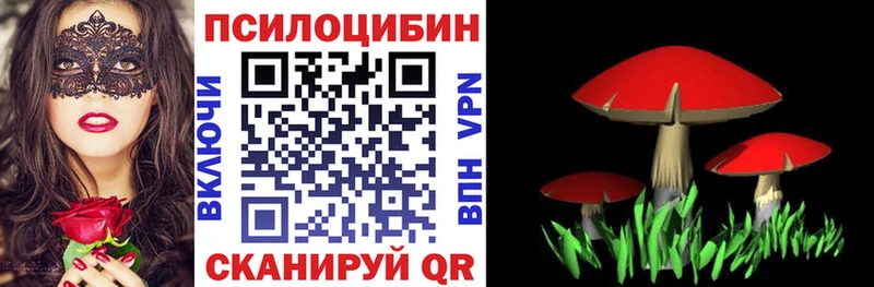 Галлюциногенные грибы GOLDEN TEACHER  Миллерово 